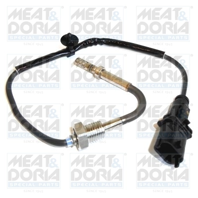 Sensor, exhaust gas temperature